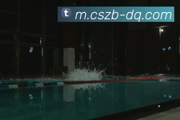 彩神争霸平台生态图